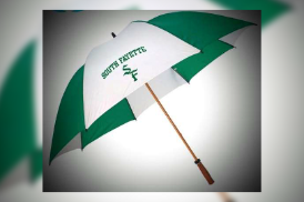SF Baseball Umbrella Fundraiser