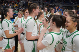 Lady Lions Win 5A WPIAL Basketball Title